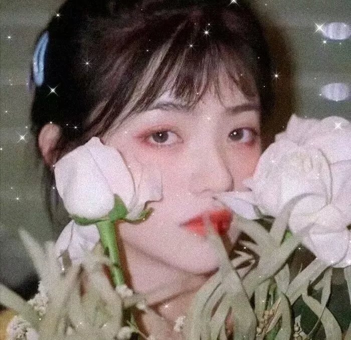 叠影迷离